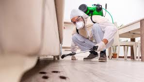 Best Emergency Pest Control  in South Glens Falls, NY